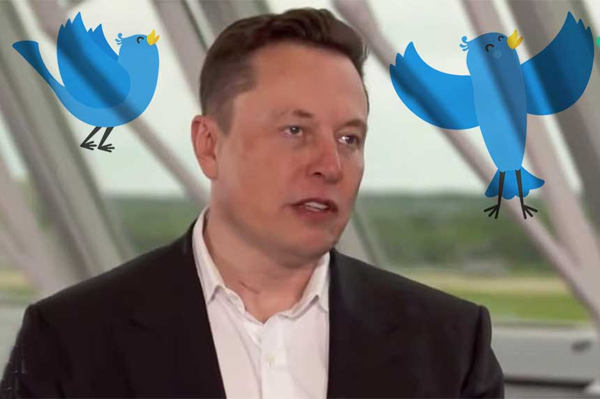 Elon Musk a-t-il licencié les membres du conseil d'administration de Twitter